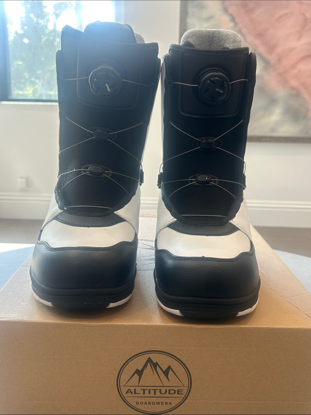 Men's Black and White Snowboard Boots